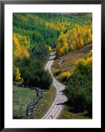 Road Leading Through Autumn Foliage In San Juan Mountains Near Telluride, Telluride, Usa by Woods Wheatcroft Pricing Limited Edition Print image