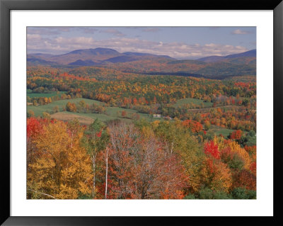 Aerial Of Landscape With Autumn Foliage by Tony Ruta Pricing Limited Edition Print image
