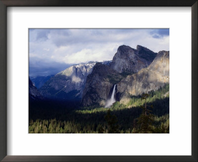 Pine Tree-Lined Valley And Grey Granite Walls Of Discovery View, Yosemite Nat. Park, California by Curtis Martin Pricing Limited Edition Print image