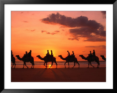 Camel Trek At Sunset Along The Beach., Broome, Australia by John Banagan Pricing Limited Edition Print image