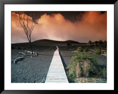Devastation Trail, Hi by Eric Figge Pricing Limited Edition Print image
