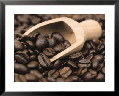 Coffee Beans In A Scoop by Steven Morris Pricing Limited Edition Print image