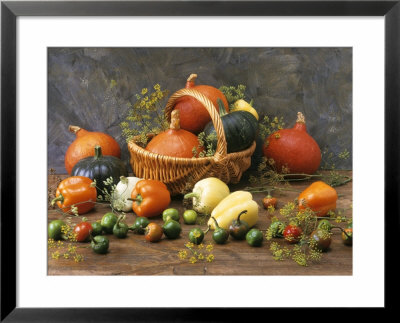 Various Types Of Pumpkins And Peppers by Rita Bellmann Pricing Limited Edition Print image