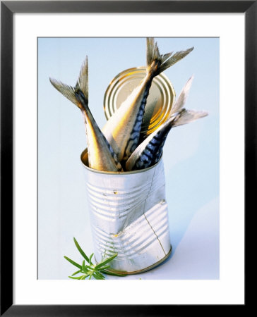 Three Fish (Mackerel) In A Tin by Marc O. Finley Pricing Limited Edition Print image