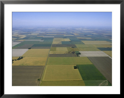 Aerial Of Agricultural Fields by James P. Blair Pricing Limited Edition Print image