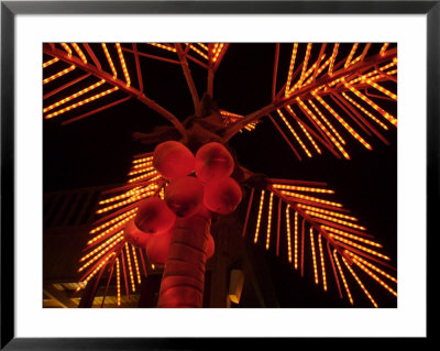 Dahab, Egypt: Orange Coconuts On Christmas Tree by Brimberg & Coulson Pricing Limited Edition Print image