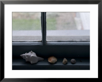 Sea Shells On The Window Sill Of Historic Lighthouse, Stonington, Connecticut by Todd Gipstein Pricing Limited Edition Print image