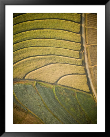 Irrigated Industrial Sugar Plantations Near Pietermaritzburg, South Africa by Michael Fay Pricing Limited Edition Print image