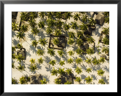 Beautiful Coastal Village With Groves Of Coconut Palms, Mozambique by Michael Fay Pricing Limited Edition Print image