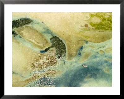 Flamingos And A Small Boat, The Bazaruto Chain, Southern Mozambique by Michael Fay Pricing Limited Edition Print image