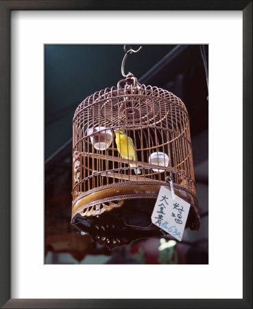 Caged Birds For Sale, Yuen Po Street Bird Garden, Mong Kok, Kowloon, Hong Kong, China, Asia by Amanda Hall Pricing Limited Edition Print image