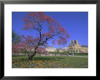 Jardin Des Tuileries And Musee Du Louvre, Paris, France, Europe by Neale Clarke Pricing Limited Edition Print image