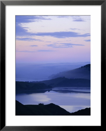 Otago Peninsula Near Dunedin, Otago, South Island, New Zealand, Pacific by Jeremy Bright Pricing Limited Edition Print image