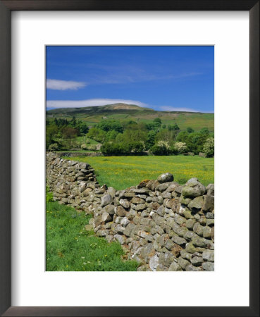 Dry Stone Wall, Swaledale, North Yorkshire, England, Uk, Europe by Jonathan Hodson Pricing Limited Edition Print image