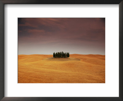 Cypress Trees In Tuscan Field, Val D'orcia, Siena Province, Tuscany, Italy by Sergio Pitamitz Pricing Limited Edition Print image