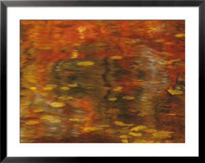 Abstract Of Autumn Leaves And Reflections In Water, Lake Chippewa, Wisconsin, Usa by Richard Hamilton Smith Pricing Limited Edition Print image