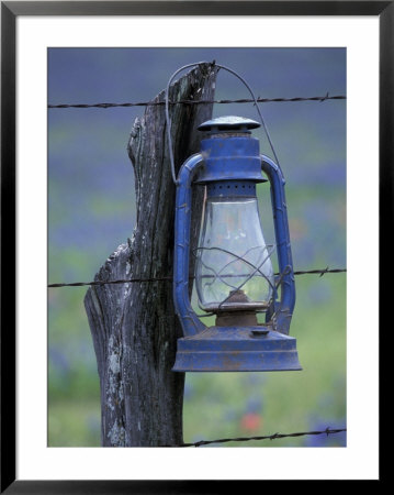 Blue Lantern And Barbed Wire, Lytle, Texas, Usa by Darrell Gulin Pricing Limited Edition Print image
