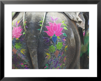 Elephant Decorated With Colorful Painting At Elephant Festival, Jaipur, Rajasthan, India by Keren Su Pricing Limited Edition Print image