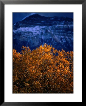 Mountain At Waterton Lake Township Valley, Waterton Lakes National Park, Alberta, Canada by Lawrence Worcester Pricing Limited Edition Print image