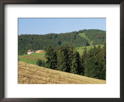 Landscape In The Black Forest (Schwarzwald), Baden-Wurttemberg, Germany by Gavin Hellier Pricing Limited Edition Print image