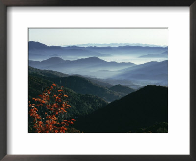 Mist Rising From The Cataloochee Ski Area, Near Maggie Valley, North Carolina, Usa by Julian Pottage Pricing Limited Edition Print image