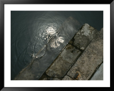 Close View Of Stone Steps Leading Into The Grand Canal by Todd Gipstein Pricing Limited Edition Print image