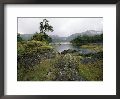 Moss Covered Rocks At Water's Edge, Prince William Sound, Alaska by James Gritz Pricing Limited Edition Print image