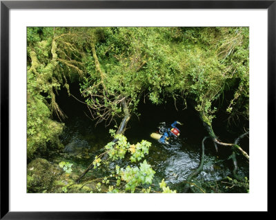 Cave Diving, Madre De Dios Island, Patagonia, Chile by Peter Carsten Pricing Limited Edition Print image