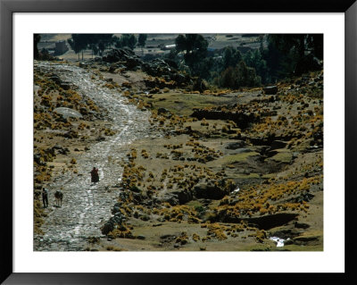 Walking The Ancient Inca Road Outside The Pilgrimage Town Of Copacabana, Lake Titicaca, Bolivia by Kenneth Garrett Pricing Limited Edition Print image