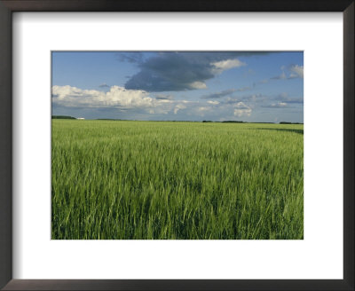 Wide Open Spaces Of The Saskatchewan Plains North Of Balcarres by Michael S. Lewis Pricing Limited Edition Print image