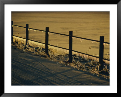 A Fence Covered In Ice by Sam Abell Pricing Limited Edition Print image