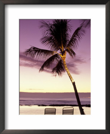 Palm Tree And Indian Ocean At Dusk, Maldives by Michele Westmorland Pricing Limited Edition Print image