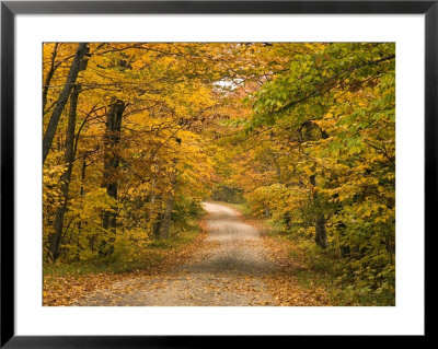 Mt. Greylock Reservation, Massachusetts, Usa by Demetrio Carrasco Pricing Limited Edition Print image