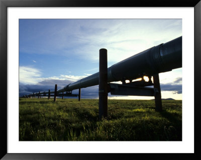 Alaska Pipeline On The North Slope by Michael S. Quinton Pricing Limited Edition Print image