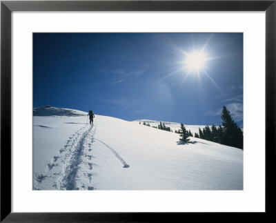 A Backcountry Skier On Yellow Mountain by Bill Hatcher Pricing Limited Edition Print image