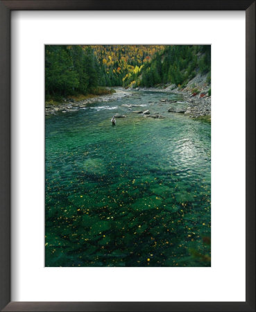 Sport Fisherman Fishing A Salmon River In The Fall by Paul Nicklen Pricing Limited Edition Print image