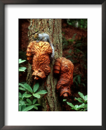 Western Gray Squirrel Atop Carved Raccoons by Yvette Cardozo Pricing Limited Edition Print image