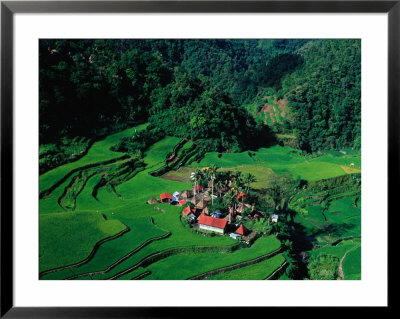 Village Surrounded By Paddy Fields, Bangaan, Philippines by Richard I'anson Pricing Limited Edition Print image