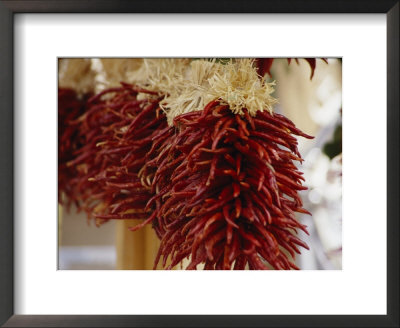 Bunches Of Colorful Chili Peppers Hanging In A Market by Gina Martin Pricing Limited Edition Print image
