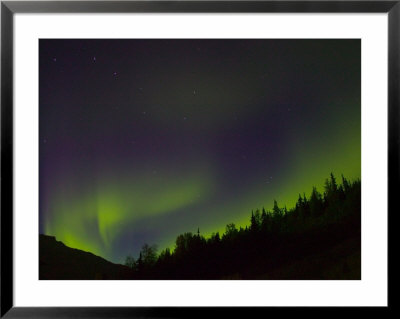 Norhtern Lights With Big Dipper, Denali National Park, Alaska, Usa by Terry Eggers Pricing Limited Edition Print image