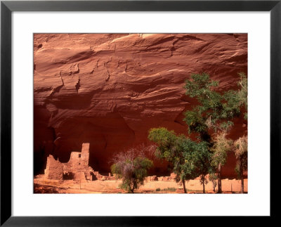 Anasazi Antelope House Ruin And Cottonwood Trees, Canyon De Chelly National Monument, Arizona, Usa by Alison Jones Pricing Limited Edition Print image