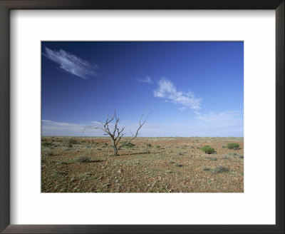 Arid Landscape, The Outback, South Australia, Australia by Mark Mawson Pricing Limited Edition Print image