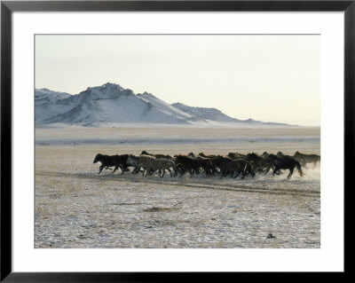 Horse Herd by Dean Conger Pricing Limited Edition Print image