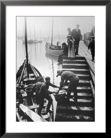 The Day's Catch Is Unloaded From A Fishing Boat At Staithes Yorkshire by Graystone Bird Pricing Limited Edition Print image