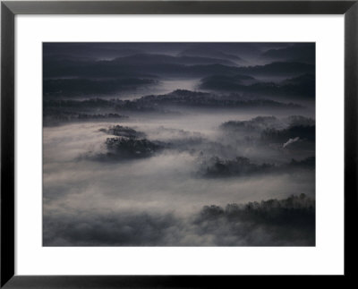 Fog Shrouds The Treetops In This Aerial View by Jodi Cobb Pricing Limited Edition Print image