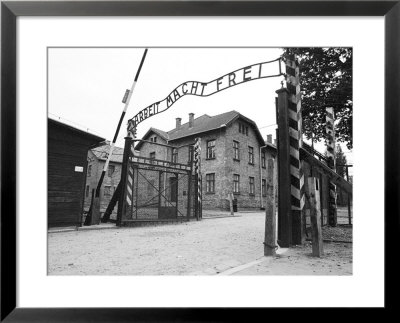 Entrance Gate With Hypocritcal In Work There Is Freedom Banner, Auschwitz, Poland by David Clapp Pricing Limited Edition Print image