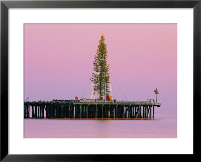 Sunset Framing A Christmas Tree On Stearns Wharf by Rich Reid Pricing Limited Edition Print image