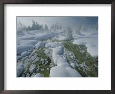Winter Scene, Yellowstone National Park by Norbert Rosing Pricing Limited Edition Print image