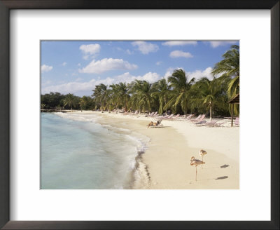 Sonesta Island, Aruba, West Indies, Dutch Caribbean, Central America by Sergio Pitamitz Pricing Limited Edition Print image