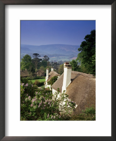 Thatched Cottages At Selworthy Green, With Exmoor Beyond, Somerset, England, United Kingdom by Chris Nicholson Pricing Limited Edition Print image